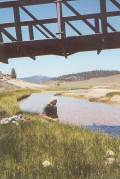 Bridge at South Fork of the Kern